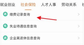 江苏智慧人社查社保怎么弄